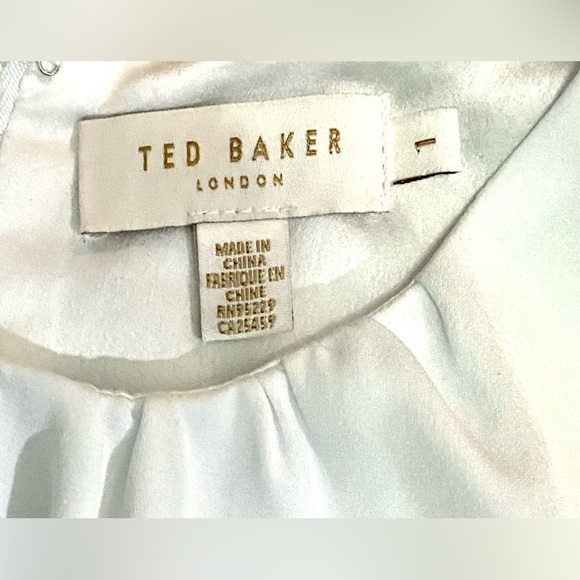 Ted Baker Zamelid Sleeveless Color Block Pencil Sheath Dress w Front Keyhole - Picture 9 of 10